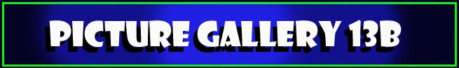 Picture Gallery 13B